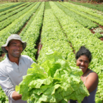 Fazenda casal