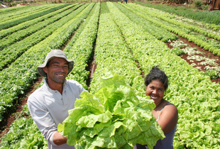 Fazenda casal