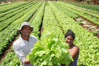 Fazenda casal