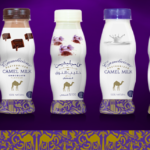 camel milk