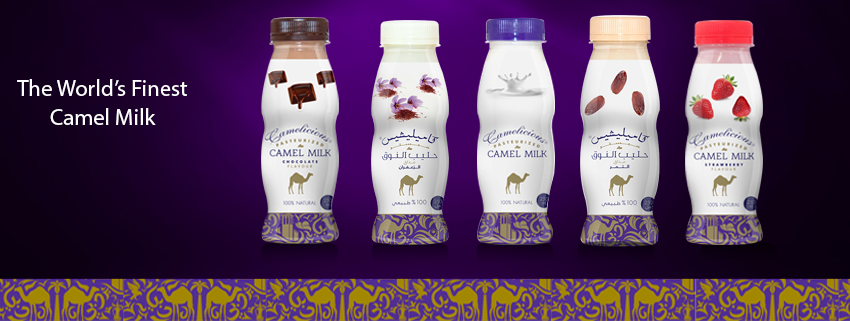 camel milk