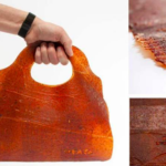 fruit leather